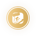 行業(yè)經(jīng)驗(yàn) 行業(yè)經(jīng)驗(yàn)