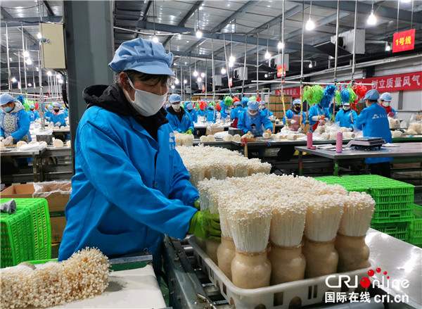 楊凌示范區(qū) 特色農(nóng)業(yè)產(chǎn)業(yè)化與生物技術(shù)研發(fā)雙輪驅(qū)動